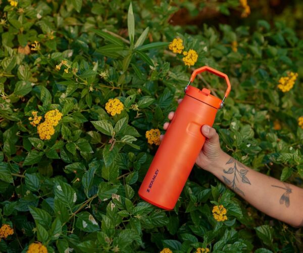 Stanley IceFlow Flip Straw 2.0 Water Bottle 24 OZ | Built-In Straw with Larger Opening | Lightweight & Leak-Resistant | Insulated Stainless Steel | BPA-Free | Mist - Image 7