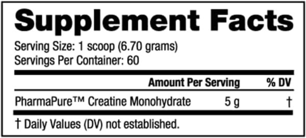 NutraBio Pure Creatine Monohydrate Powder Supplement, Citrus Rush, (300 g) - Supports Bulk Muscle Energy, Recovery, and Strength - HPLC Tested Pure Grade Creatine Powder Supplement for Men and Women - Image 10