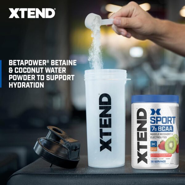 XTEND Sport BCAA Powder Strawberry Kiwi Splash - Electrolyte Powder for Recovery & Hydration with Amino Acids - 30 Servings - Image 4
