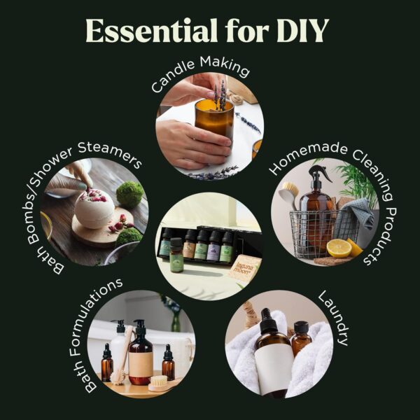 Essential Oils Set - Top 6 Blends for Diffusers, Home Care, Candle Making Scents, Fragrance, Aromatherapy, Humidifiers, Gifts - Peppermint, Tea Tree, Lavender, Eucalyptus, Lemongrass, Orange (10mL) - Image 6