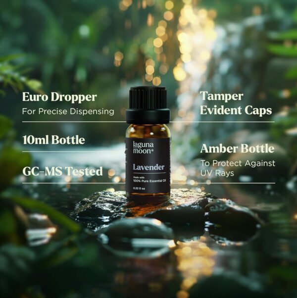 Essential Oils Set - Top 6 Blends for Diffusers, Home Care, Candle Making Scents, Fragrance, Aromatherapy, Humidifiers, Gifts - Peppermint, Tea Tree, Lavender, Eucalyptus, Lemongrass, Orange (10mL) - Image 4