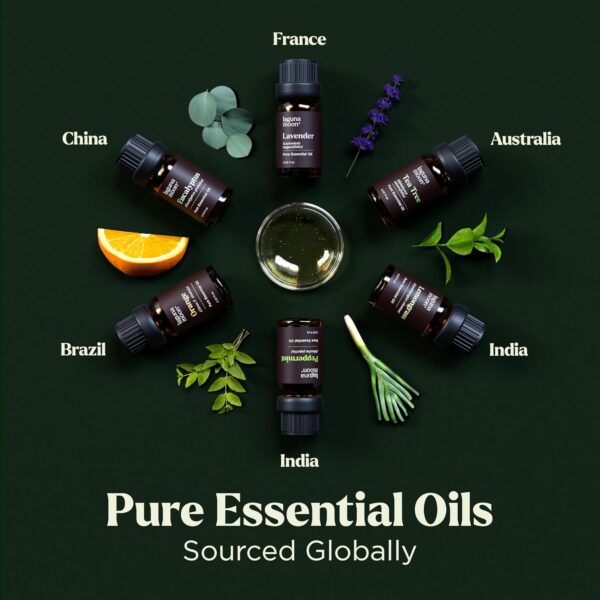 Essential Oils Set - Top 6 Blends for Diffusers, Home Care, Candle Making Scents, Fragrance, Aromatherapy, Humidifiers, Gifts - Peppermint, Tea Tree, Lavender, Eucalyptus, Lemongrass, Orange (10mL) - Image 8