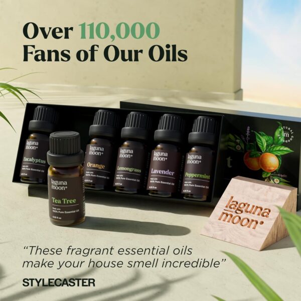 Essential Oils Set - Top 6 Blends for Diffusers, Home Care, Candle Making Scents, Fragrance, Aromatherapy, Humidifiers, Gifts - Peppermint, Tea Tree, Lavender, Eucalyptus, Lemongrass, Orange (10mL) - Image 7