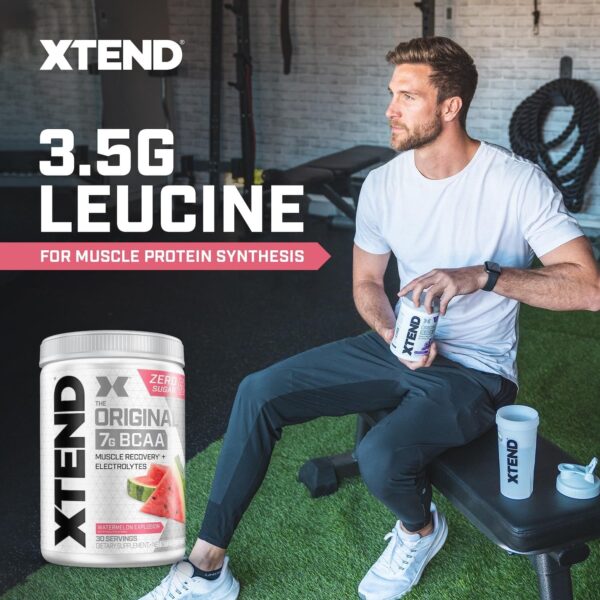 Xtend XTEND Original BCAA Powder 7g BCAA and 2.5g L-Glutamine, Sugar Free Post Workout Muscle Recovery Drink with Amino Acids for Men & Women, 30 Servings - Image 5