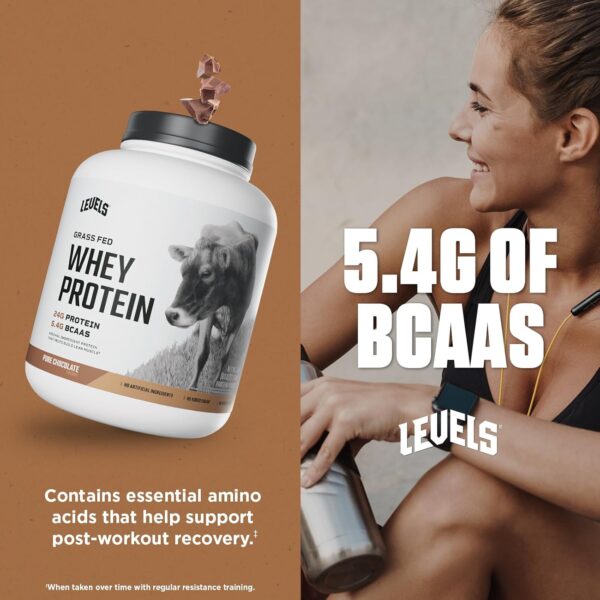 Levels Grass Fed Whey Protein Powder, No Artificials, 24G of Protein, Pure Chocolate, 5LB - Image 6