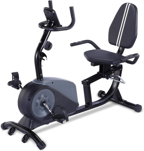 ECHANFIT Recumbent Exercise Bike with Bluetooth Connectivity, 16 Levels Magnetic Resistance and Pulse Rate Monitor for Seniors, Indoor Stationary Bike for Home Use, 350 LB Weight Capacity - Image 2
