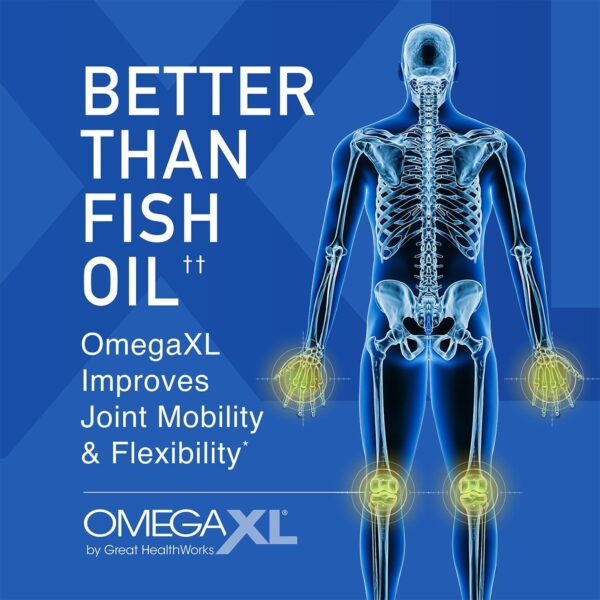 OmegaXL Joint Support Supplement - Natural Muscle Support, Green Lipped Mussel Oil, Soft Gel Pills, Drug-Free, 120 Count - Image 5
