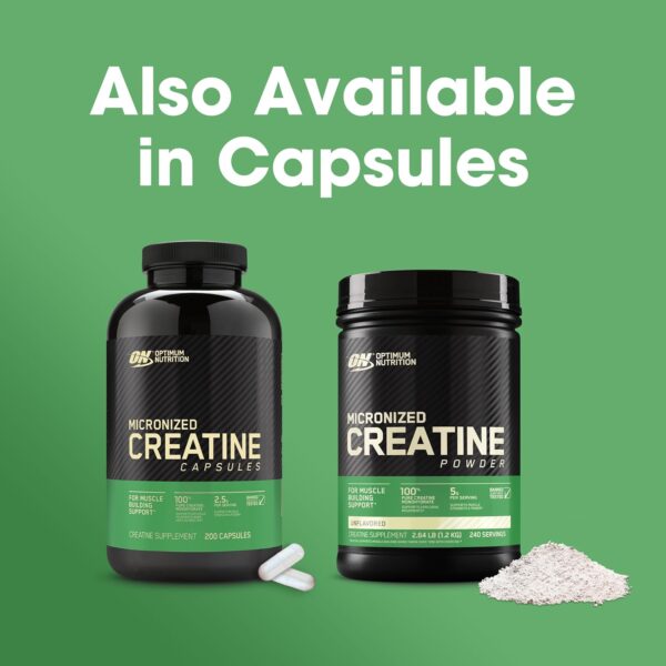 Optimum Nutrition Micronized Creatine Monohydrate Powder, Unflavored, 120 Servings, 600 Grams (Packaging May Vary) - Image 7