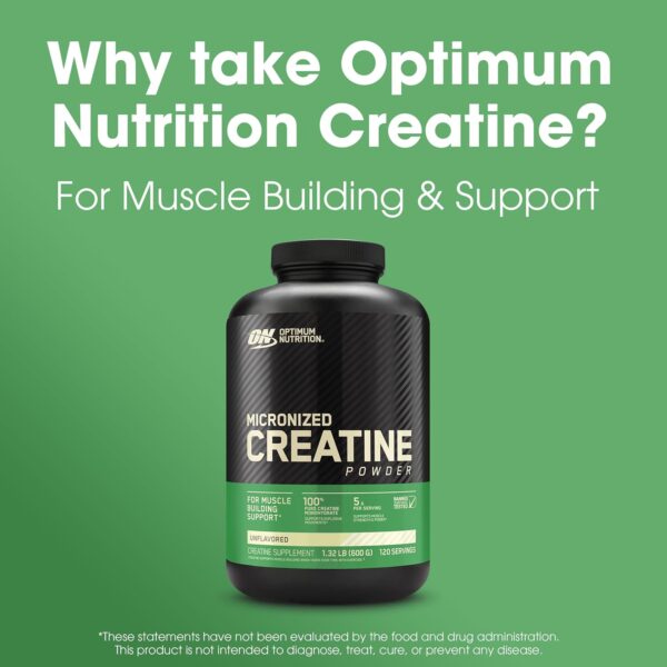 Optimum Nutrition Micronized Creatine Monohydrate Powder, Unflavored, 120 Servings, 600 Grams (Packaging May Vary) - Image 3