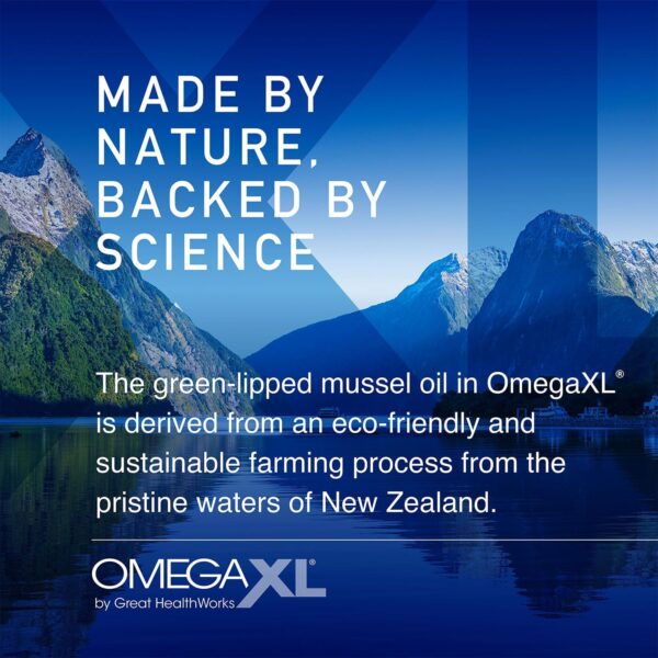 OmegaXL Joint Support Supplement - Natural Muscle Support, Green Lipped Mussel Oil, Soft Gel Pills, Drug-Free, 120 Count - Image 7