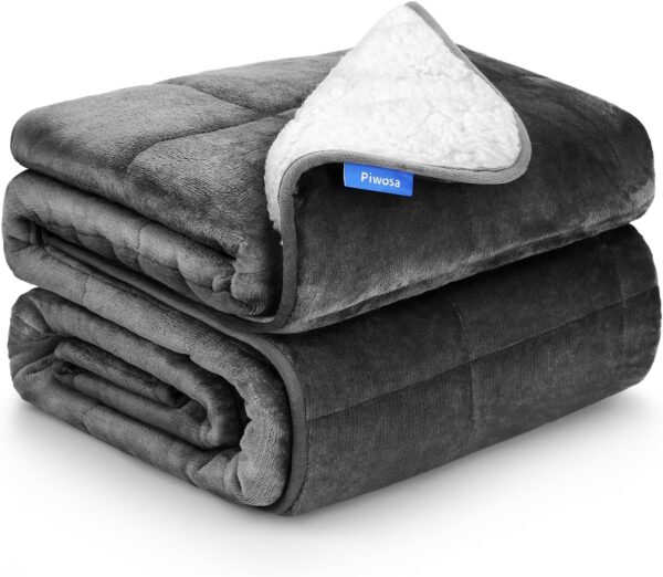 Weighted Blanket Twin Size 10 Pounds 48x72 inches, Sherpa Fleece Throw Blanket for Teens with Soft Plush Flannel Top, Fuzzy Fluffy Cozy Warm and Thick Heavy Blanket for Winter - Image 2