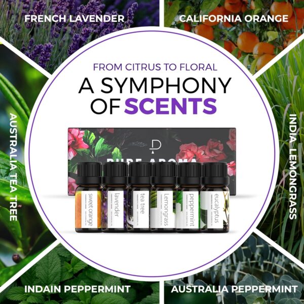Essential Oils Set by Pure Aroma - Top 6 Aromatherapy Oils Gift Set-6 Pack, 10ml (Eucalyptus, Lavender, Lemongrass, Sweet Orange, Peppermint, Tea Tree) - Image 5