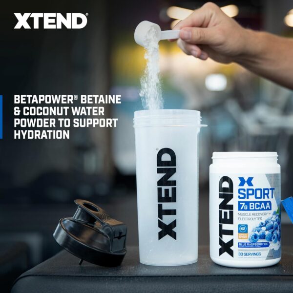 XTEND Sport BCAA Powder Blue Raspberry Ice - Electrolyte Powder for Recovery & Hydration with Amino Acids - 30 Servings - Image 4