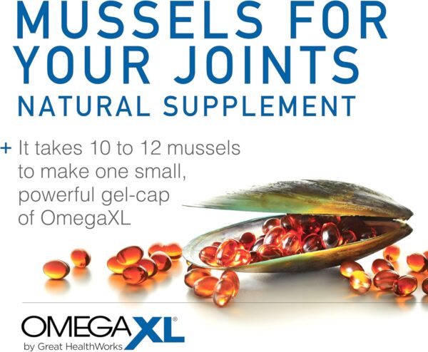 OmegaXL Joint Support Supplement - Natural Muscle Support, Green Lipped Mussel Oil, Soft Gel Pills, Drug-Free, 120 Count - Image 6