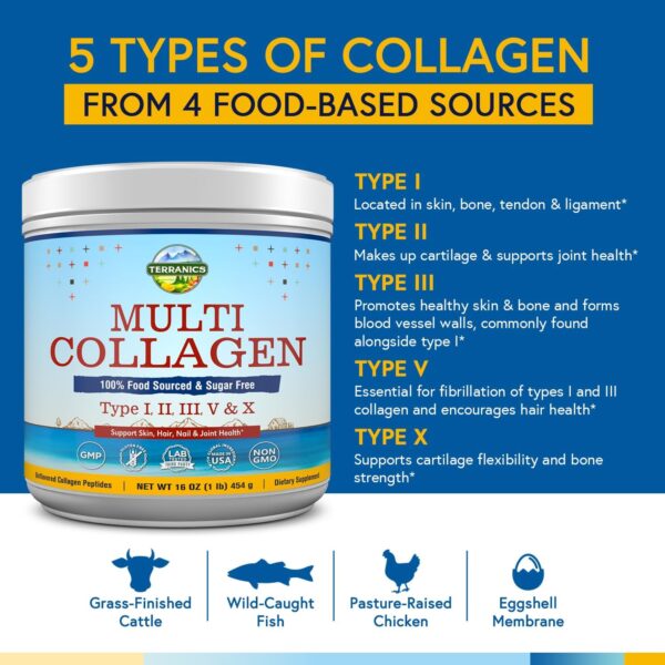 Terranics Multi Collagen Peptides Powder, Type I II III V X Hydrolyzed Collagen for Women+Men, Collagen Supplements for Skin Nail Hair & Joint, Fast Dissolve, Unflavored Colageno, No Sugar, Keto, 16oz - Image 6