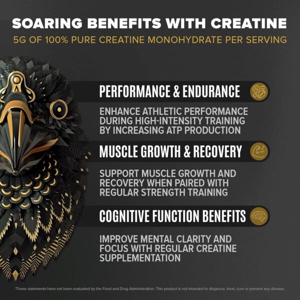 Falcon Performance Vegan Protein Powder, 31g Protein, 5g Creatine, 5g BCAA, Probiotics, Electrolytes, Pre Workout, Low Carb, Sugar Free & Dairy Free, Plant Based Vanilla Protein -19 Servings - Image 6
