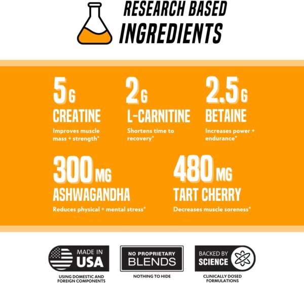 Outwork Nutrition Recovery Drink - Post Workout Recovery Powder & Creatine Monohydrate Muscle Builder for Men & Women - Creatine for Men & Women - After Workout Drink - Orange Sherbet - 230g - Image 4
