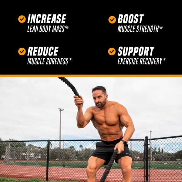 Outwork Nutrition Recovery Drink - Post Workout Recovery Powder & Creatine Monohydrate Muscle Builder for Men & Women - Creatine for Men & Women - After Workout Drink - Orange Sherbet - 230g - Image 3