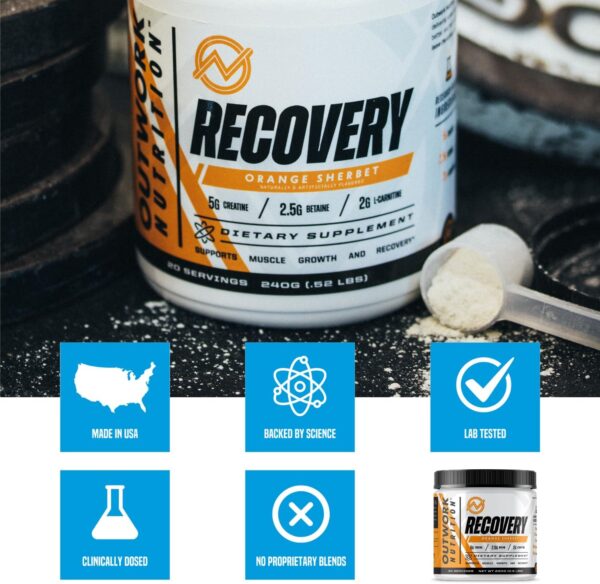 Outwork Nutrition Recovery Drink - Post Workout Recovery Powder & Creatine Monohydrate Muscle Builder for Men & Women - Creatine for Men & Women - After Workout Drink - Orange Sherbet - 230g - Image 6