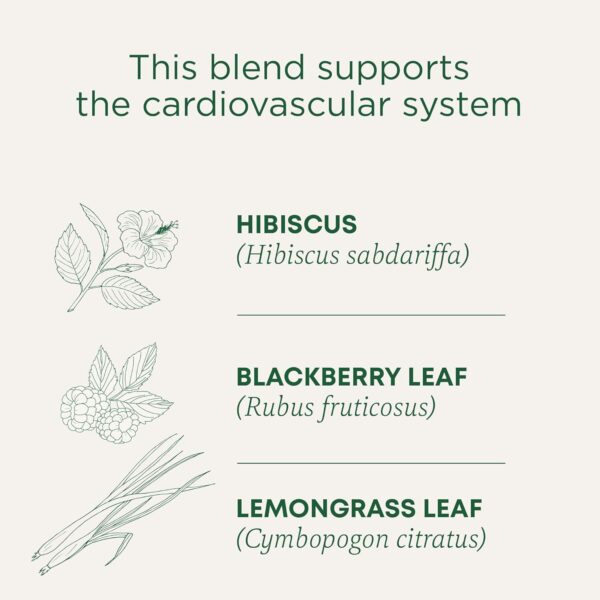 Traditional Medicinals Tea, Organic Hibiscus, Supports Your Cardiovascular System, 16 Tea Bags - Image 3