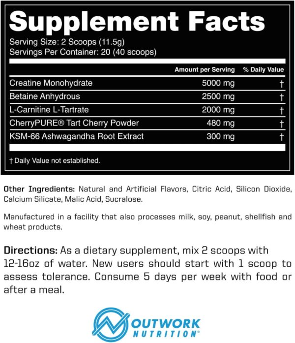 Outwork Nutrition Recovery Drink - Post Workout Recovery Powder & Creatine Monohydrate Muscle Builder for Men & Women - Creatine for Men & Women - After Workout Drink - Orange Sherbet - 230g - Image 7