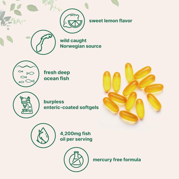 Triple Strength Omega 3 Fish Oil Supplements 4200mg Per Serving, 240 SoftgelS – Lemon Flavored – Burpless (Enteric-Coated) | EPA 1200mg + DHA 900mg | Deep Sea Fish, Wild Caught from Norwegian Waters - Image 5