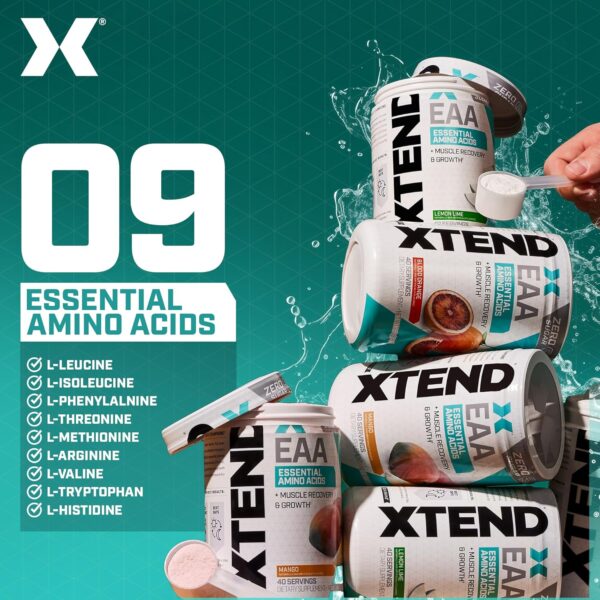 Scivation XTEND EAA + BCAA Powder | Muscle Recovery & Lean Muscle Growth | 9 Essential Amino Acids for Intra Workout or Post Workout Recovery | 10g EAAs Per 2 Servings | Mango 40 Servings - Image 4