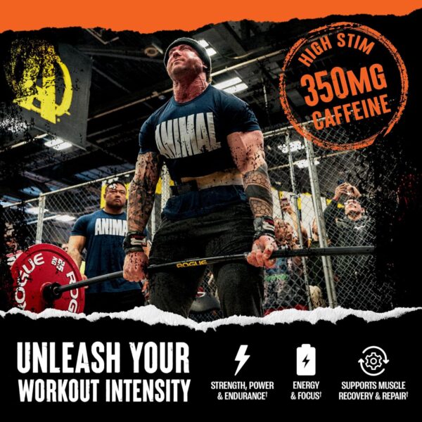 Animal Fury Pre Workout Powder Supplement for Energy and Focus 5g BCAA 350mg Caffeine Nitric Oxide Without Creatine Powerful Stimulant for Bodybuilders, Watermelon - Image 7