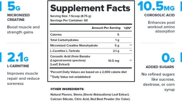 LEGION Recharge Post Workout Supplement (Strawberry Lemonade) - All Natural Muscle Builder & Recovery Drink with Micronized Creatine Monohydrate. Naturally Sweetened & Flavored 60 Serving - Image 3