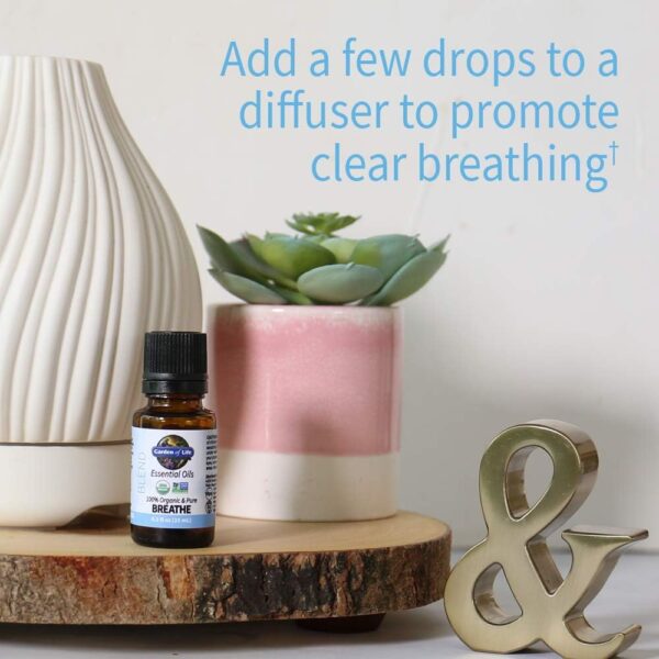 Garden of Life Essential Oils, 100% Organic & Pure Rosemary, Black Spruce & Fir Balsam Essential Oil - Breathe Blend for Diffusers, Home, Skin & Body Care, Clarifying, Clearing, Focusing, 0.5 fl oz - Image 5