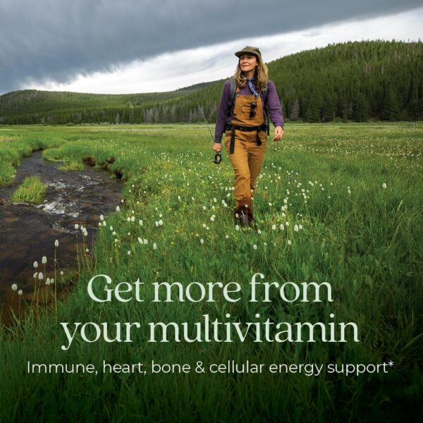 New Chapter Women's Multivitamin 50 Plus for Cellular Energy, Heart & Immune Support with 20+ Nutrients + Astaxanthin - Every Woman's One Daily 55+, Gentle on The Stomach, 72 Count - Image 3