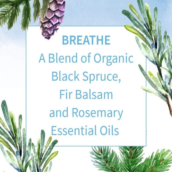 Garden of Life Essential Oils, 100% Organic & Pure Rosemary, Black Spruce & Fir Balsam Essential Oil - Breathe Blend for Diffusers, Home, Skin & Body Care, Clarifying, Clearing, Focusing, 0.5 fl oz - Image 4