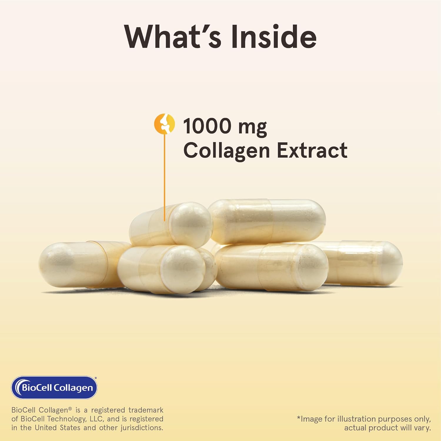 Jarrow Formulas® Type II Collagen Complex 1000 mg Supplements, Supports Skin and Joint Health, 60 Capsules, 30 Day Supply - Image 4