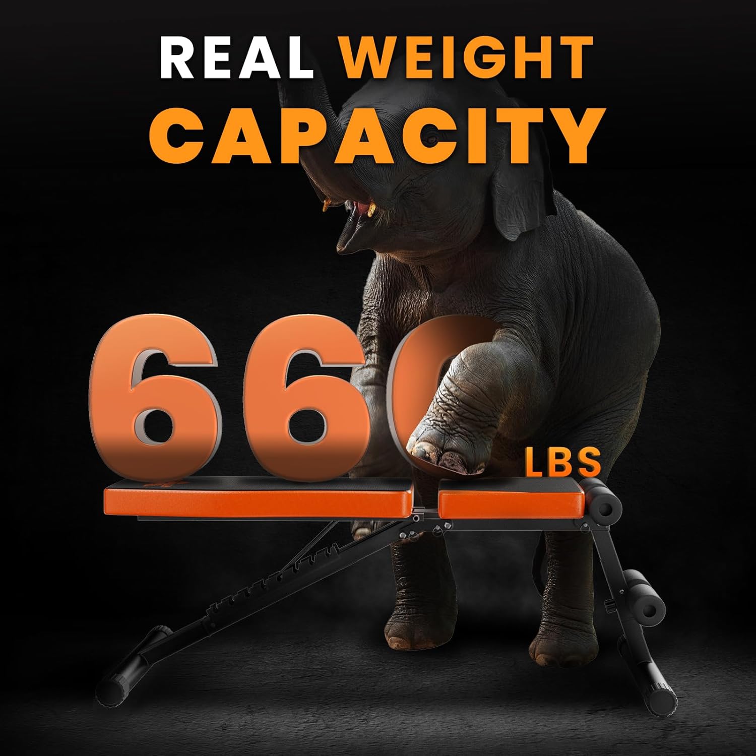 naspaluro Adjustable Weight Bench for Home Gym Foldable Workout Bench Press 880LB Incline Sit Up Bench for Full Body Workout with 3-Sec Folding - Image 3